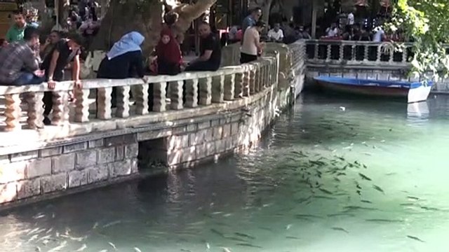 Sıcaktan bunalan vatandaşlar parklarda serinliyor - ŞANLIURFA