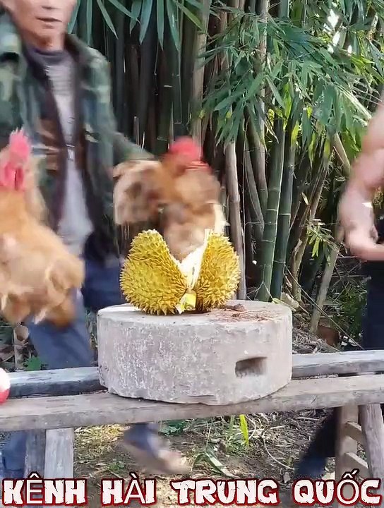 đến thượng đế cũng phát khùng p2