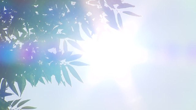 여름철 무더위 본격 시작...일사병·열사병 주의해야 / YTN