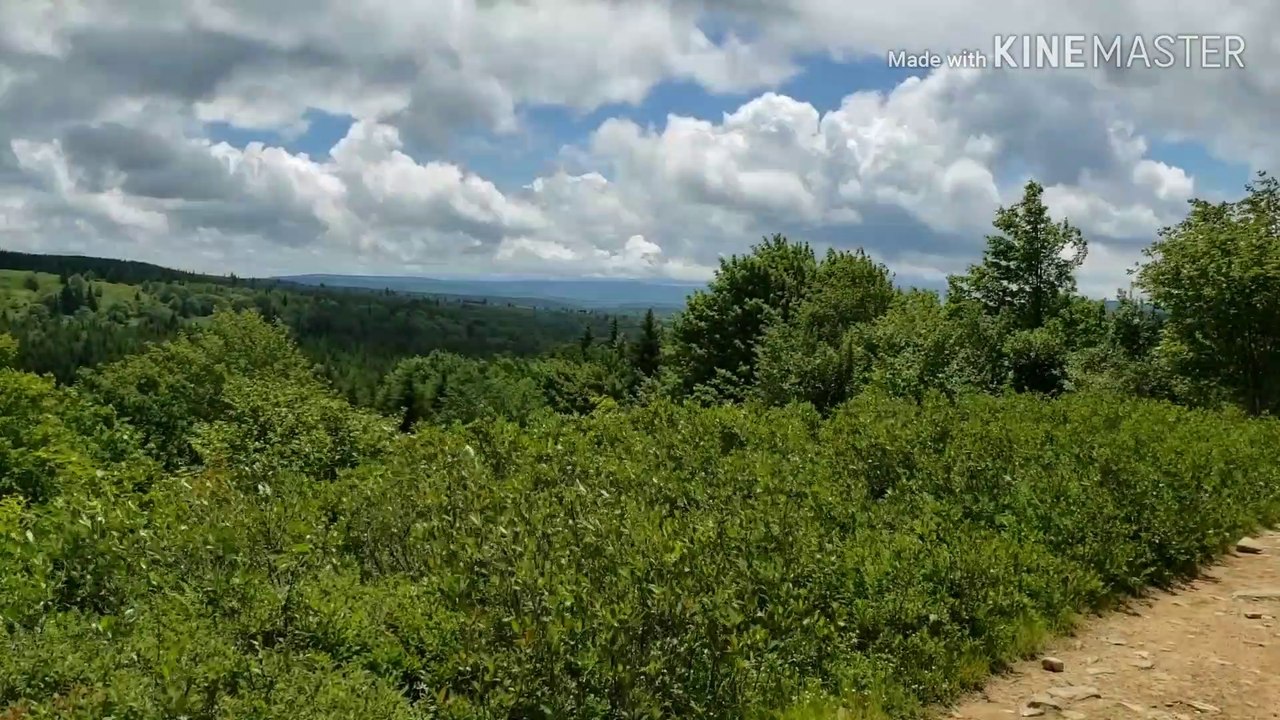 Dolly Sods 06/21/19 Backpacking