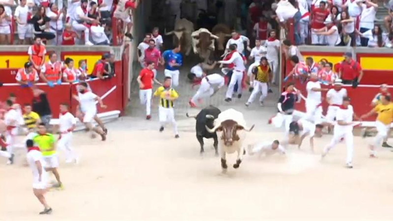 Stierhatz in Pamplona: Bullen nehmen 5 Läufer auf die Hörner