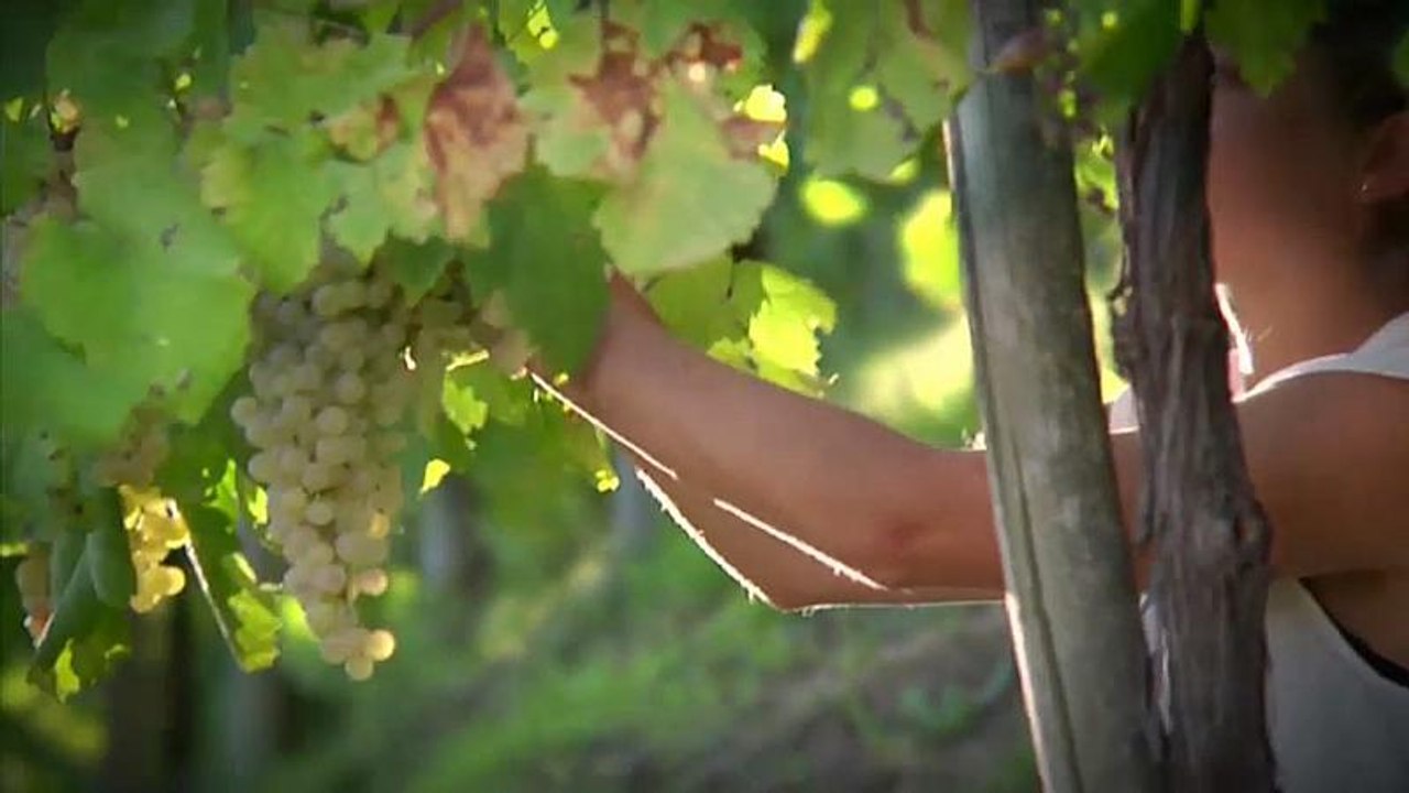 Ein Glas Prosecco auf das UNESCO-Weltkulturerbe