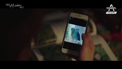 [3회 예고] 일생에 한 번 쯤은 나에게도 가슴 뛰는 사랑이 찾아오지 않을까요