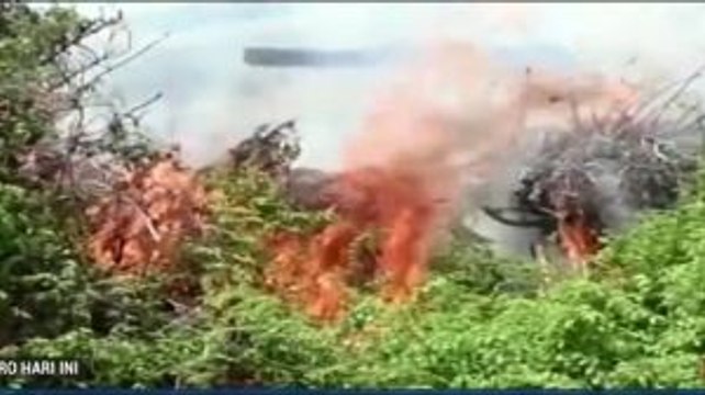 21 Hektare Lahan Gambut di Nagan Raya Terbakar