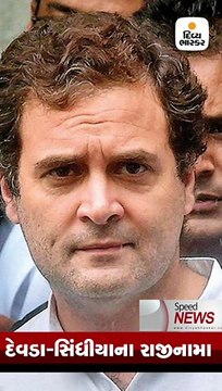 આગ્રા નજીક બસ નાળામાં ખાબકી, 29 લોકોના મોત