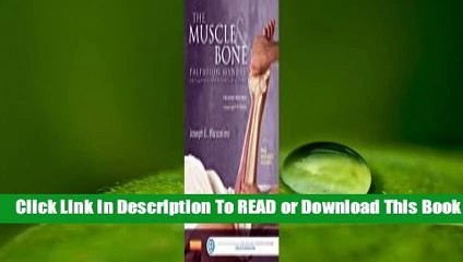 The Muscle and Bone Palpation Manual with Trigger Points, Referral Patterns and Stretching