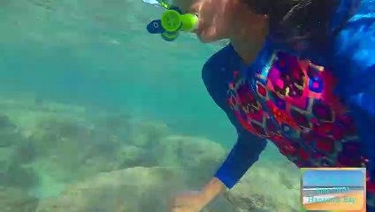 Hanauma Bay Snorkel  01