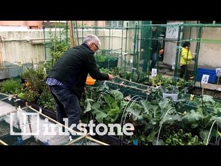 Hong Kong's gardens in the sky
