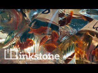 Hong Kong's famous goldfish market