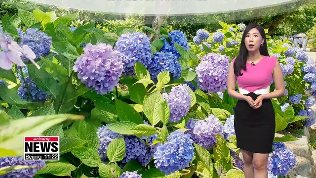 Heat lingers for western regions, rain on east and south 070819