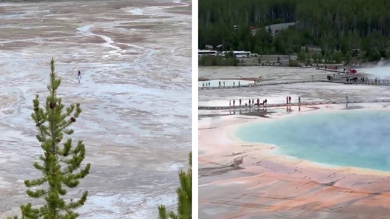 Un homme marche illégalement dans le parc national de Yellowstone pourtant protégé
