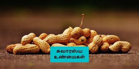 வேர்கடலை பற்றிய சுவாரஸ்ய உண்மைகள்..!