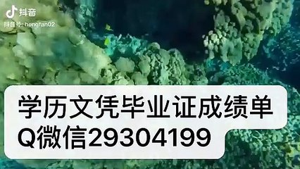 官网留学生学历认证?GBC毕业证成绩单文凭Q微信『 29304199 』乔治布朗学院学位证成绩单录取通知书雅思成绩单offer /GBC文凭,教育部使馆留信认证,〈诚招代理〉George Brown College