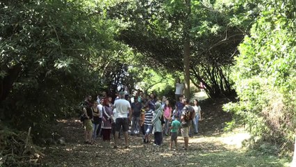 'Mitolojik ada'nın efsaneleri turistleri karşılıyor - GİRESUN