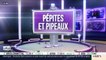 Pépites & Pipeaux: Roche Bobois - 08/07