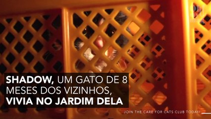 O vídeo revoltante de uma mulher que joga o gato do vizinho a mais de 7 metros