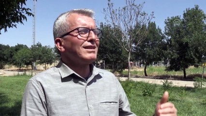 Güneydoğu'da nehir ve çaylar 'kahverengi' akıyor (2) - DİYARBAKIR/BATMAN