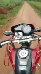 Roue arrière à moto vs Vache