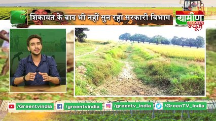 Video herunterladen: Kisan ने इजाद की गेंहू की नई प्रजाति  आया उत्तराखंड की खेती में बदलाव | Kisan Bulletin | Grameen News