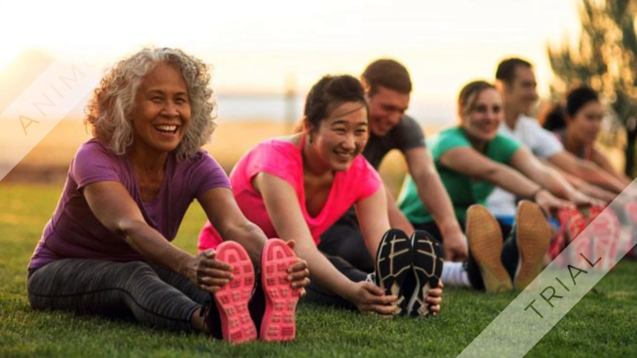 Supplements Engine - Boosts Your Energy For Health 2019