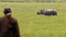 India deploys military for the first time to protect rhinos at Kaziranga National Park