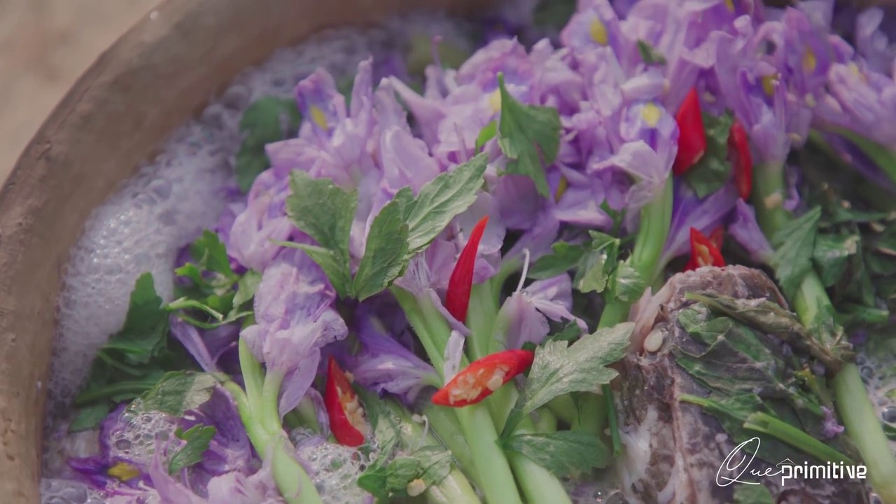 CATCHING FISH AND COOKING WITH WATER HYACINTH FLOWER - CANH CHUA BÔNG LỤC BÌNH - Que Primitive