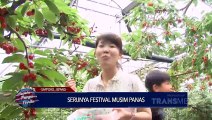 Dunia Punya Cerita - Serunya Festival Musim Panas