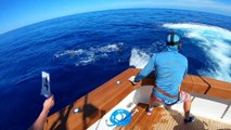 2019 Bermuda Billfish Blast Video