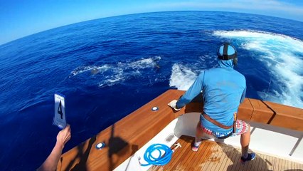 2019 Bermuda Billfish Blast Video