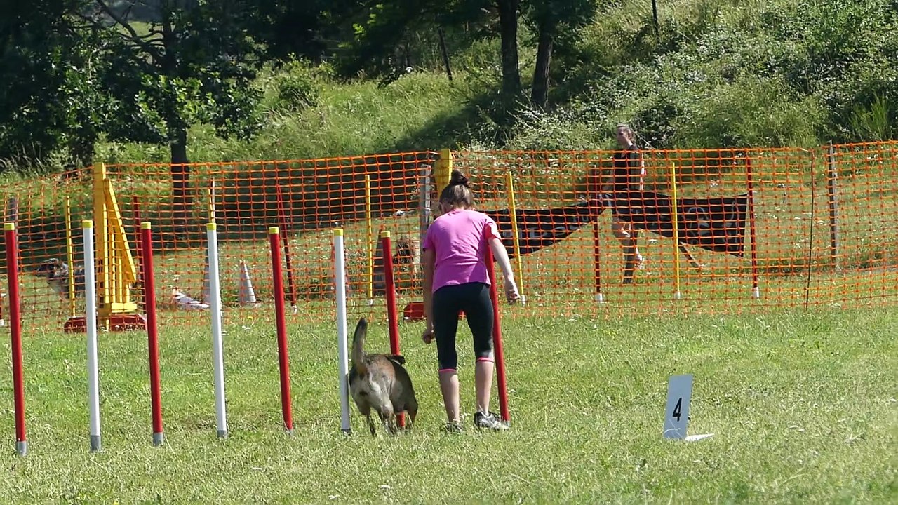 20190707P1000094_Monistrol_Agility-grade1-B-JC_Eryne_Nawook