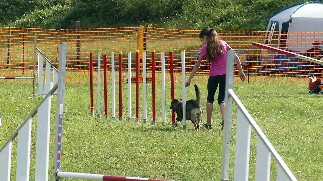 20190707P1000078_Monistrol_Agility-standard-B-JC_Eryne_Nawook