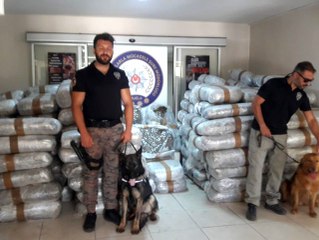 Piyasa değeri 50 milyon lira !