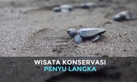 Wisata Konservasi Penyu Langka di Klungkung Bali