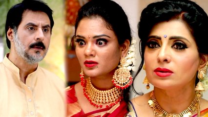 செம்பருத்தி சீரியல் : உண்மையை அகிலாவிடம் சொன்ன புருஷோத்தமன்- வீடியோ