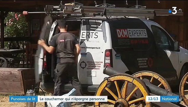 Comment les punaises de lit apparaissent-elle, à quoi ressemblent leurs piqûres et comment s'en débarrasser? Voici les réponses!