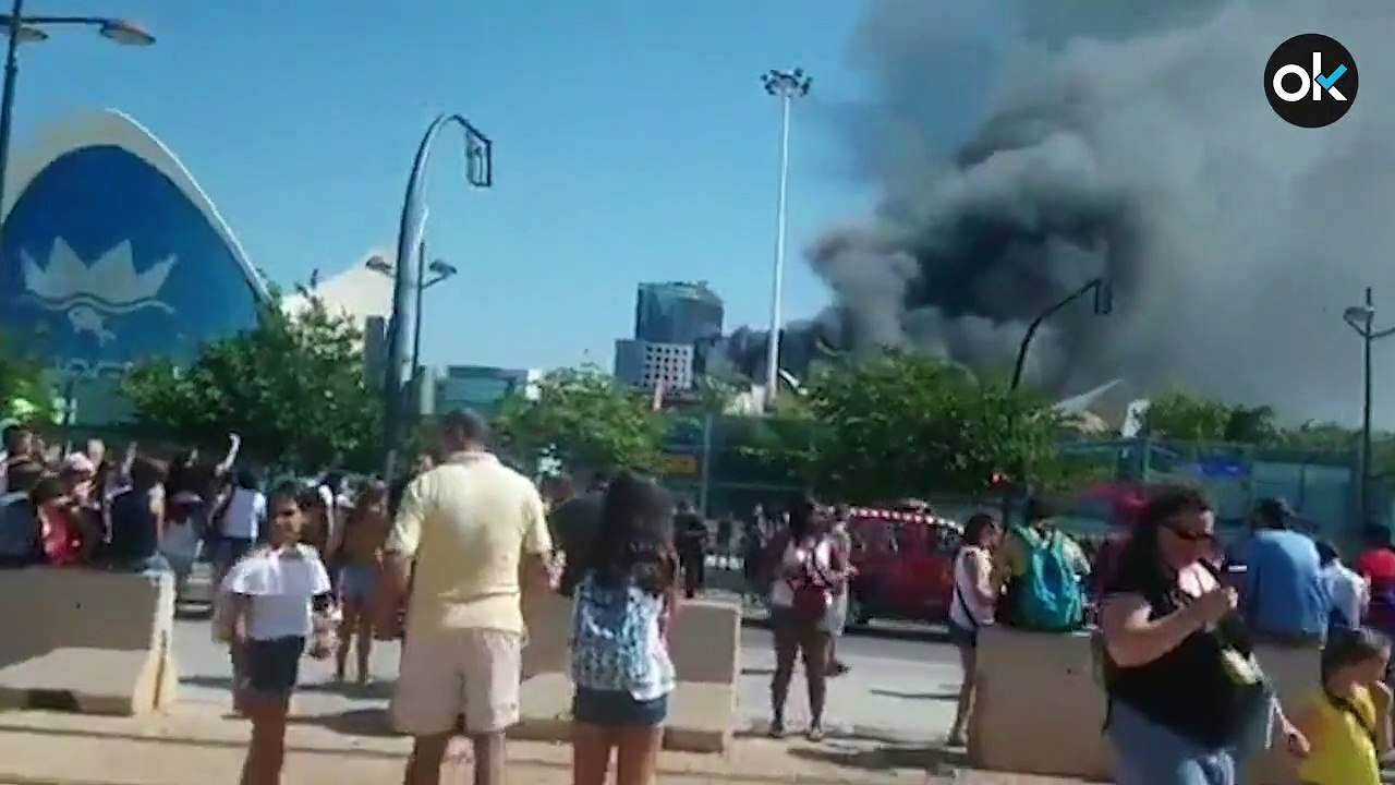 Incendio en el Oceanografic de Valencia