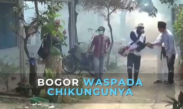 Waspada Chikungunya di Bogor, Jawa Barat!