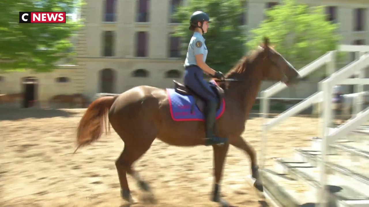Les chevaux stars de la Garde républicaine