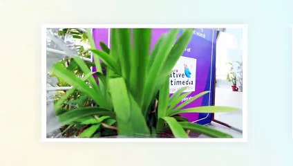 Introduction to Character Designing - Creative Multimedia.