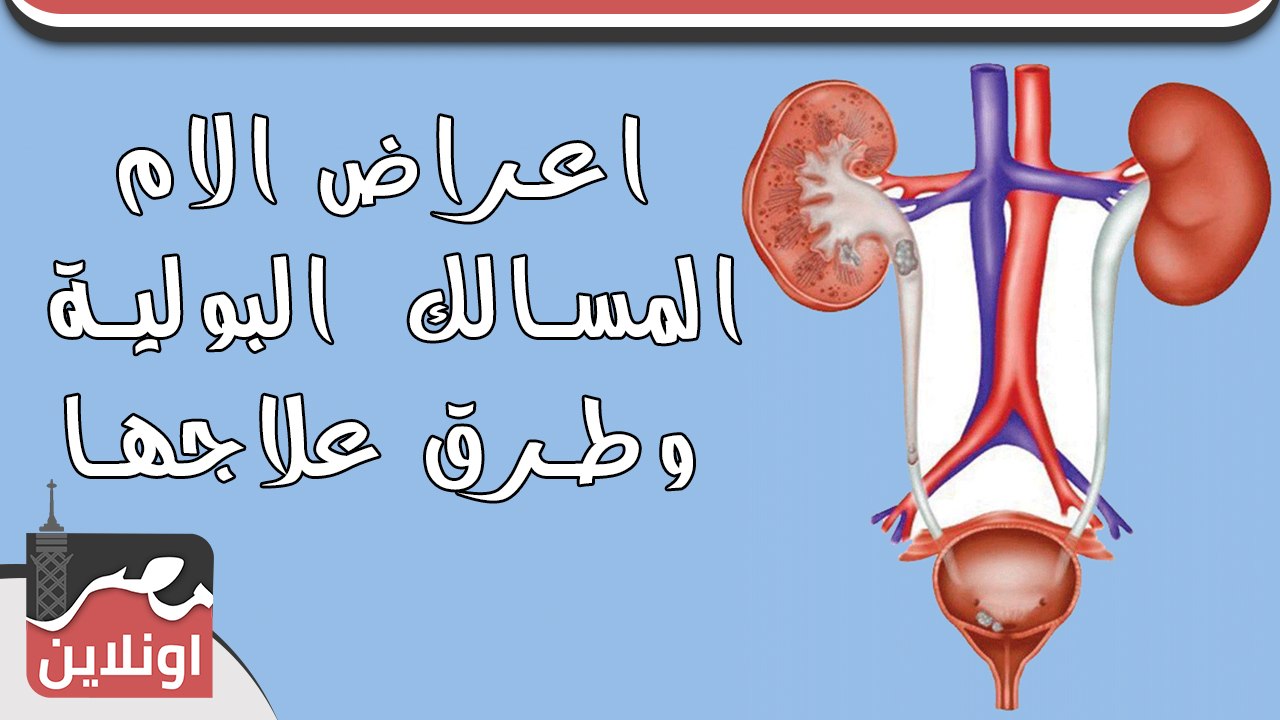 تعرف على اعراض الام المسالك البولية - وطرق علاجها