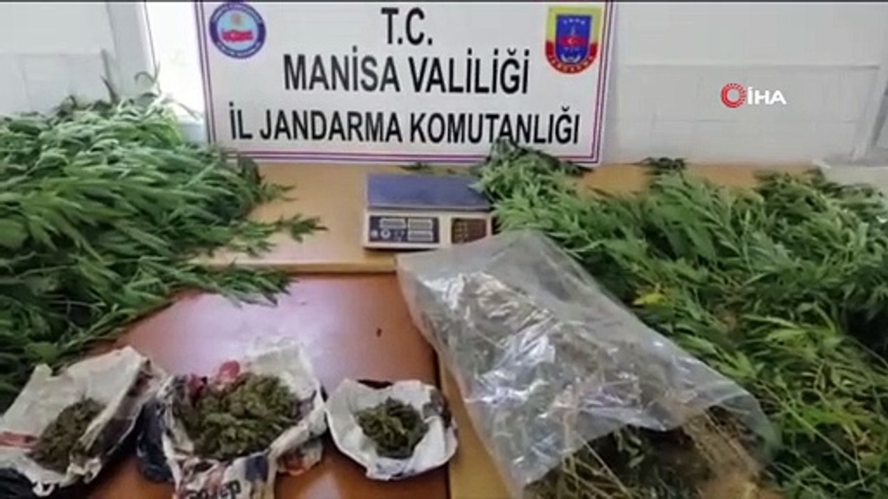 Uyuşturucu üreten baba- oğula jandarma baskını