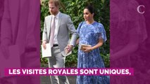 Pourquoi Meghan Markle aurait intérêt à demander des conseils...