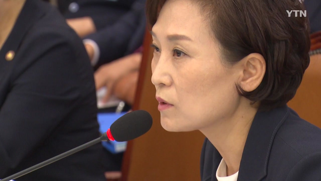 김현미 "민간택지 아파트도 분양가 상한제 도입할 때" / YTN
