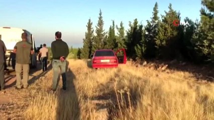 Muğla'da dev uyuşturucu operasyonu...Piyasa değeri tam 50 milyon TL