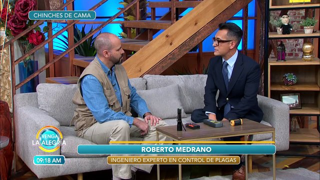 Una de las peores plagas que existen en casa son las chinches. | Venga La Alegría