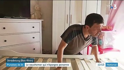 Punaises de lit : un cauchemar qui n'épargne personne