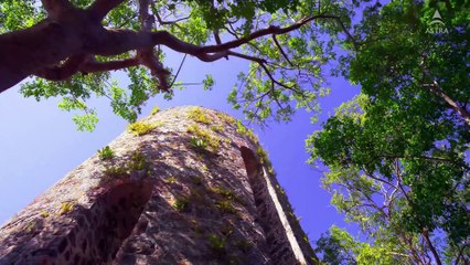 4k 60fps video MONSTER ENERGY OFFICIAL 4K VIDEO demo for oled tv[1]