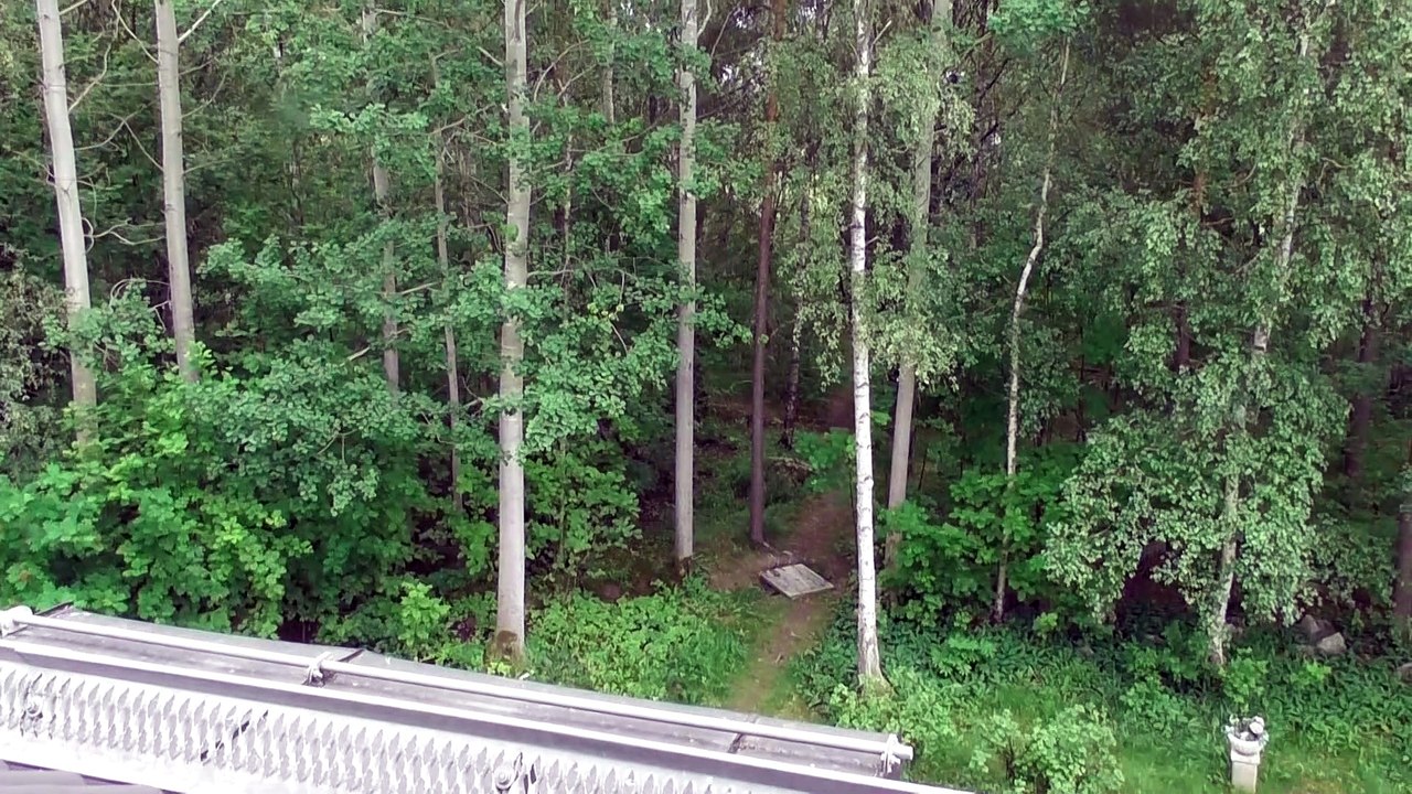 June 21 2019 DL1