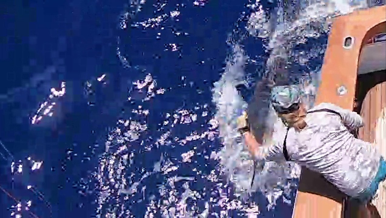 Visions of Granders: Boatyards and Blue Marlin