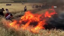 Anız yangını ekili tarlalara sıçradı: 400 dönüm buğday alev alev yandı